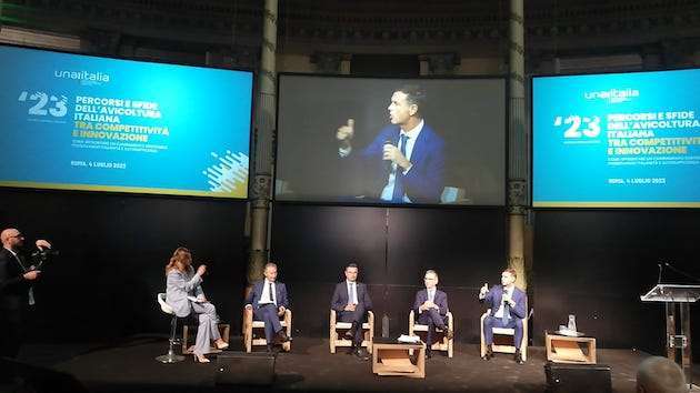Comparto avicolo in sofferenza: Unaitalia chiede attenzione