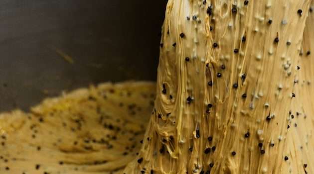 Per Loison un Natale con 2 nuovi Ciocco-gusti di Panettone!