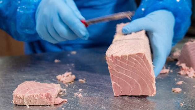 Ancora difficoltà per le conserve ittiche, Valsecchi nuovo presidente ANCIT