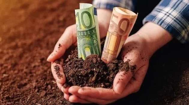 Nasce Novagria Ventures, nuovo venture builder dedicato alla filiera agroalimentare
