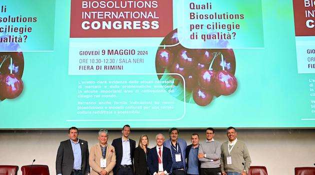 Ciliegie, in Italia in 50 anni dimezzate le rese produttive
