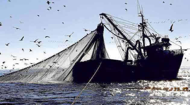 Scognamiglio (UNCI Agroalimentare): l’Ue affossa definitivamente la pesca