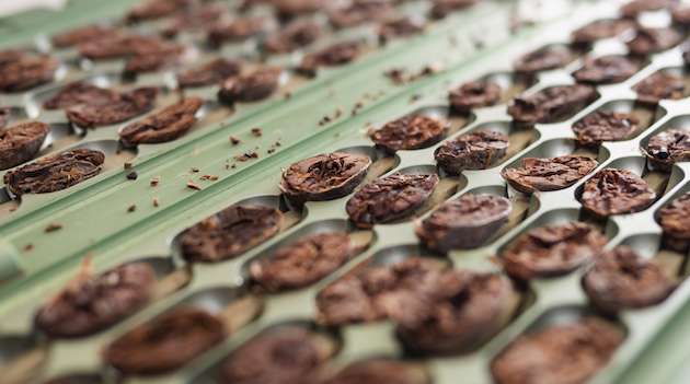 Icam festeggia 10 anni di cioccolato Vanini
