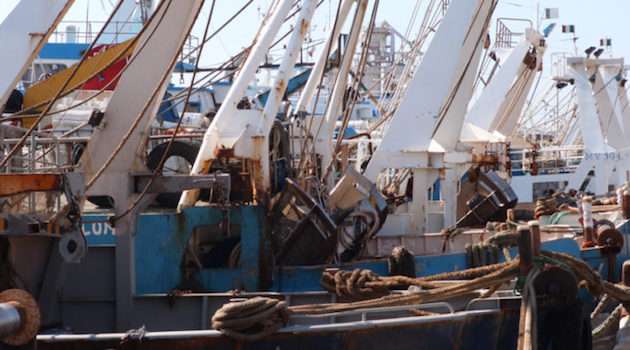 Coldiretti: in un trentennio scomparso il 33% delle imprese della pesca e 18mila addetti