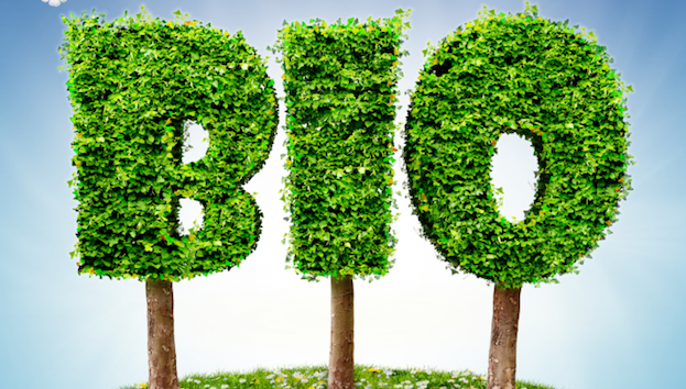 Rapporto Bio Bank 2024: meno attività bio, ma più consumi
