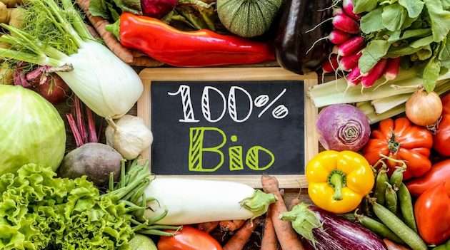 Continua la crescita del bio in Europa: 20 milioni di ettari, Italia prima