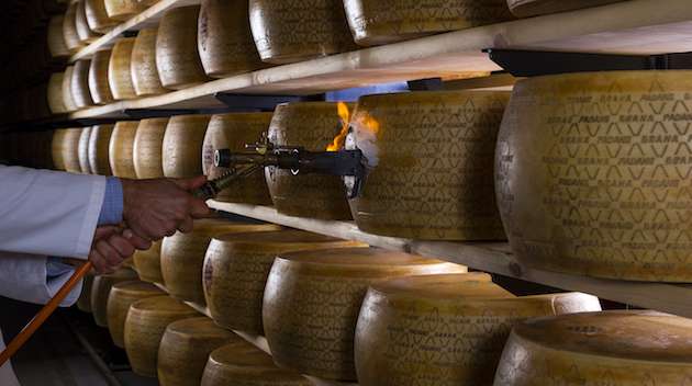Aumenta l’export di Grana Padano, nel 2024 il 10% in più