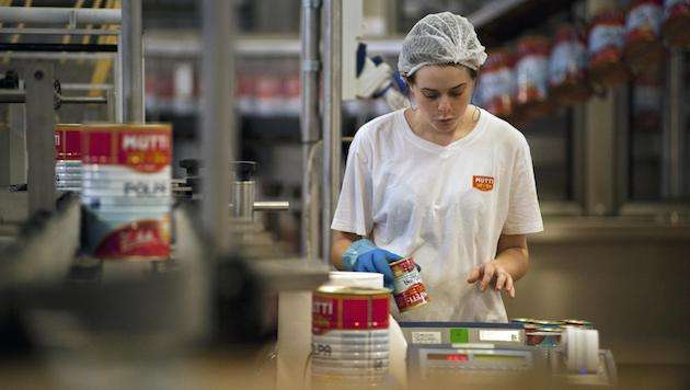 Mutti cerca 1300 stagionali per la trasformazione del pomodoro