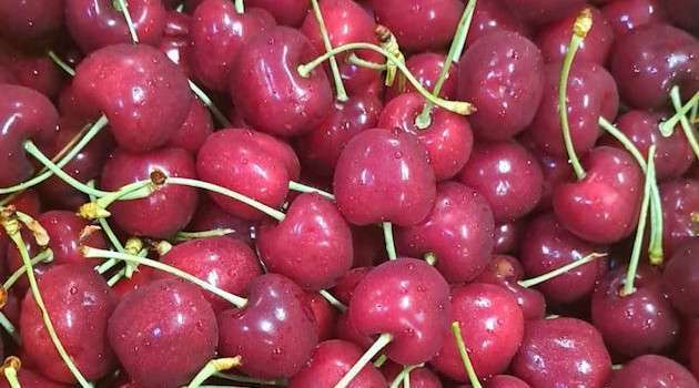 Nonostante i costi la ciliegia resta uno dei frutti preferiti