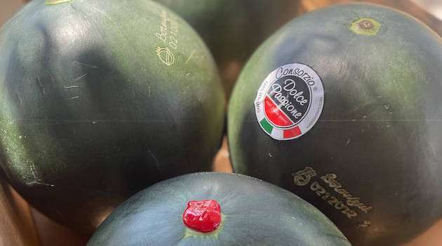 Bene la campagna produttiva e commerciale per il Cocomero a buccia nera ‘Dolce Passione’