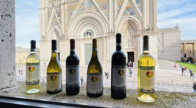 Nuovo disciplinare Orvieto Doc: vinificazione a 10 gradi