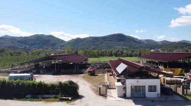 “Tenuta del Lago”: un caseificio a filiera chiusa nel cuore della Food Valley campana