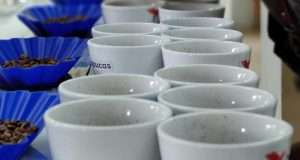 Il primo ottobre la Giornata internazionale del Caffè
