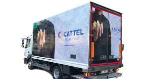 Bilancio in crescita per Cattel, nel 2025 fatturato a 183 milioni