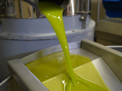 EVOLIO Expo 2027: a Bari torna la fiera B2B dell’olio EVO italiano