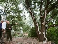 Tenute Ballasanti inaugura il Parco Artistico permanente