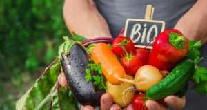 Giornata del Biologico tra luci e ombre: calano le superfici coltivate, aumentano i consumi