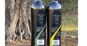 L’Olio dei Colli di Bologna ottiene l’Igp