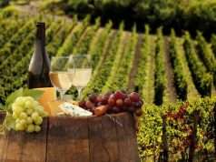 Agriturismo e enoturismo al TTG di Rimini