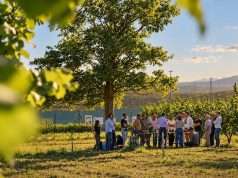 Aperte le iscrizioni all’Hazelnut Agronomy Program, la scuola di Ferrero dedicata al nocciolo